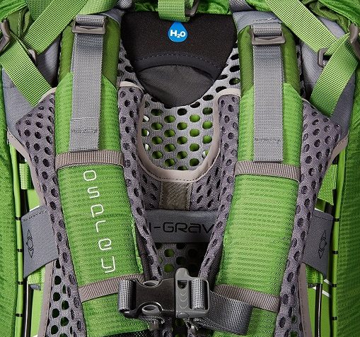 Osprey Atmos 65 AG Closeup Back