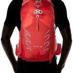 Osprey Talon 22 Model
